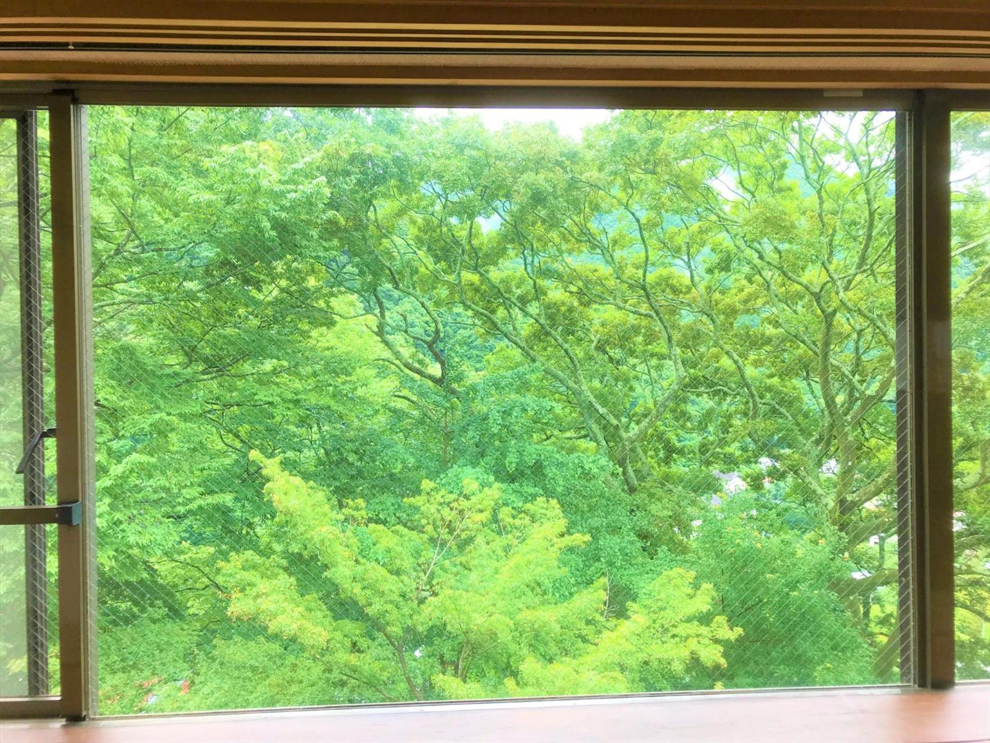 K'S House Hostels - Hakone Yumoto Onsen 客房 照片